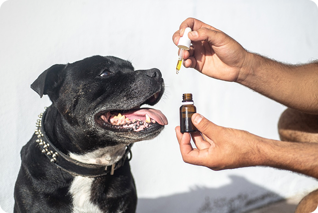 kategorie_CBD_pro_psy 2